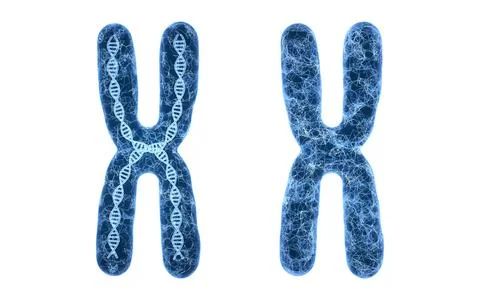 Chromosome with blue structure lines, 3d rendering. Illustrazione stock