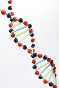Chromosome code dna education evolution gene 스톡 사진