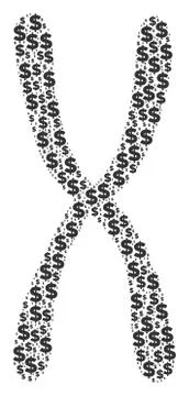 Chromosome Composition of Dollar and Dots Stock Illustration