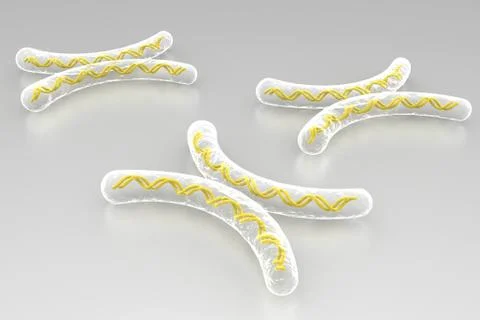 Chromosome in digital background. Stock Illustration