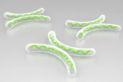 Chromosome in digital background Stock Illustration