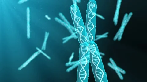 Chromosome genetic research into biochemistry in the DNA of human genome Stock Footage
