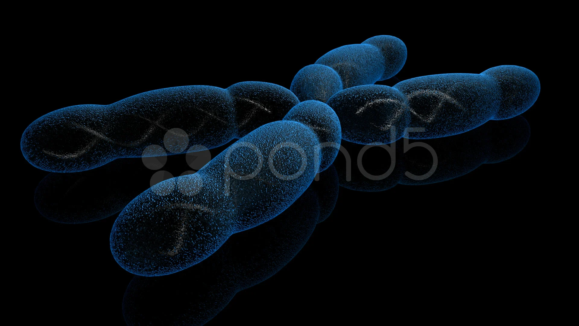 Chromosomes Images HD Pictures For Free Vectors Download  Lovepikcom