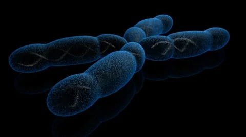 Chromosome (HD) Video stock 7134343