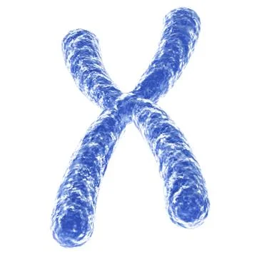 Chromosome Stock Illustration