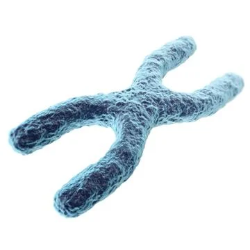 Chromosome isolated on white background. with depth of field effect, scientific Stock Illustration