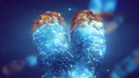 Chromosome Telomeres Stock Footage 282170105