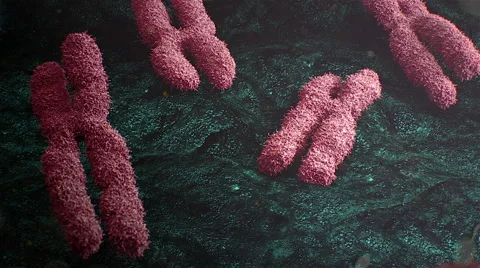 Chromosome under electronic microscope colored Stock Footage