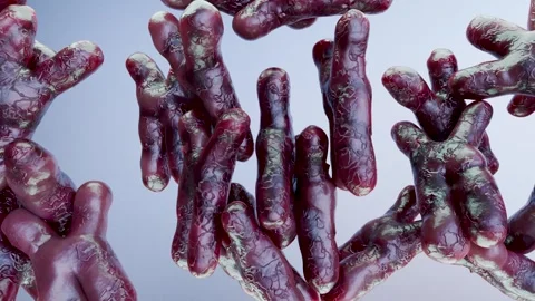 Chromosome under microscope, genome sequence. Molecular biology, DNA molecules Stock Footage 257174885