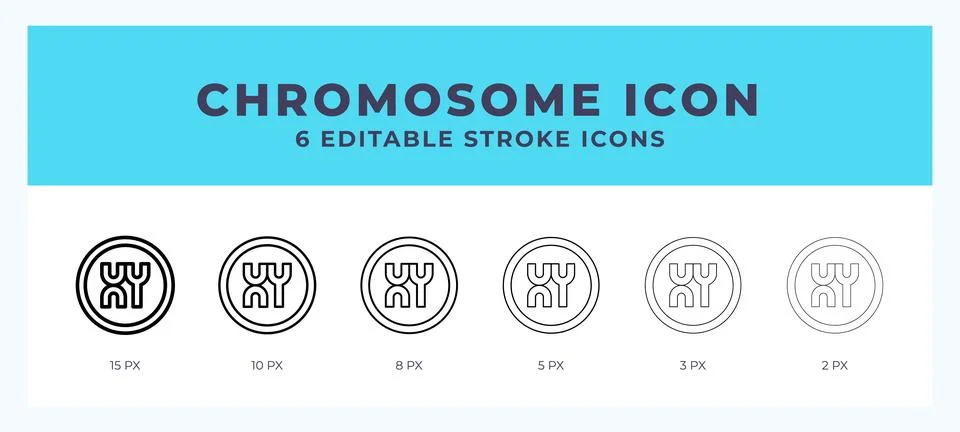 Chromosome vector icon. With different stroke vector illustration. Stock Illustration