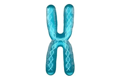 Chromosome with white background, 3d rendering. Stock Illustration