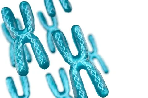 Chromosome with white background, 3d rendering. Stock Illustration
