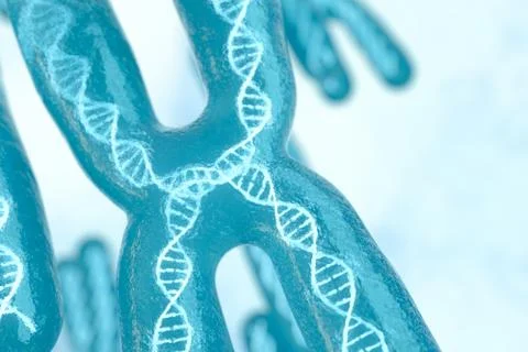 Chromosome with white background, 3d rendering. Stock Illustration