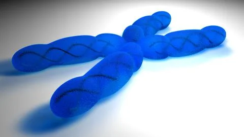 Chromosome X - graphics render Stock Illustration