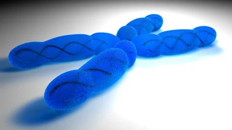 Chromosome X (HD) Video stock 7134156