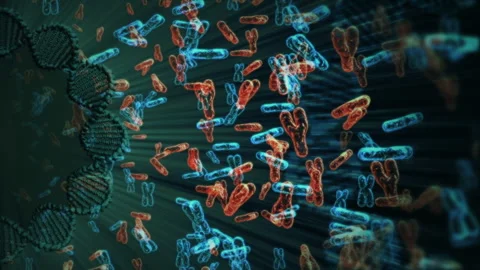 Chromosomes animation Loop Background Stock Footage 248275363
