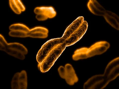 Chromosomes, artwork イラスト素材