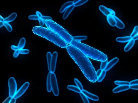 Chromosomes, artwork イラスト素材