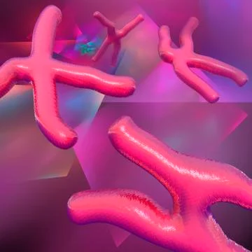Chromosomes; artwork Stock-Illustration