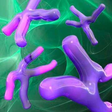 Chromosomes; artwork Stock-Illustration