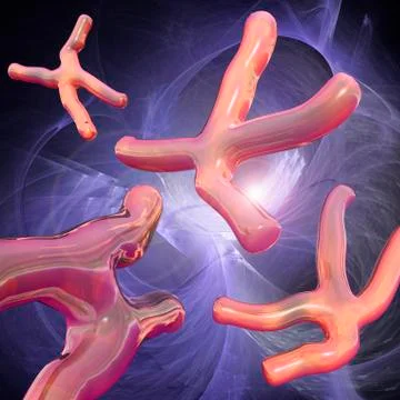 Chromosomes; artwork Stock-Illustration