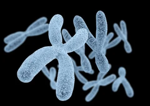 Chromosomes on black background Stock Illustration