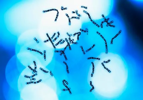 Chromosomes on blue background Stock Illustration