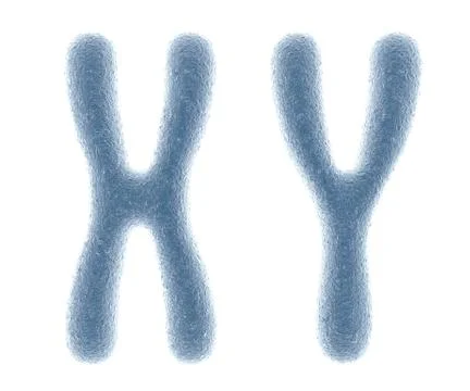 Chromosomes Stock Illustration
