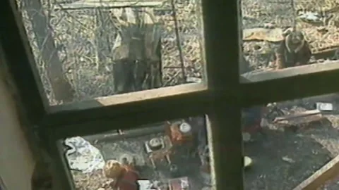 Chronicles of the Chechen war. 1994-1996. City Grozniy. Archive (14) Stock Footage 235065909