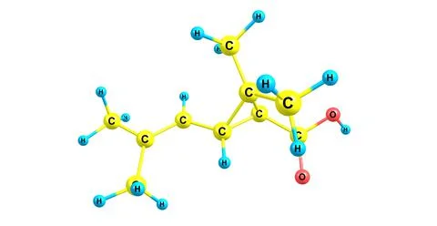 Chrysanthemic acid molecular structure isolated on white Stock Illustration