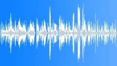 Chrysanthemum CreekStock Music