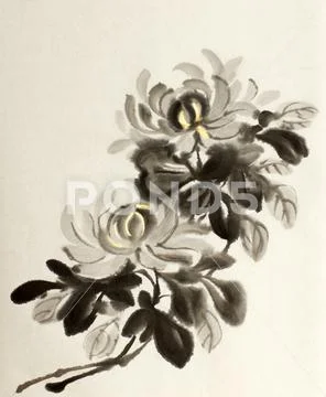 Chrysanthemum flower in Chinese painting Stock Illustration