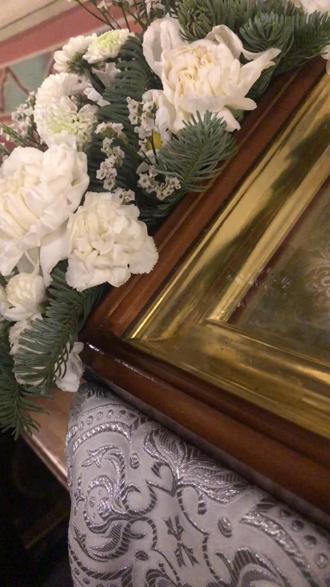 Chrysanthemum Stock Footage 169659511