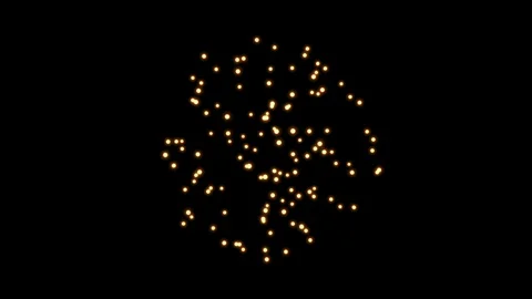 Chrysanthemum  Lights Stock Footage 99131973