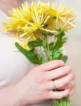 Chrysanthemum Stock Photos