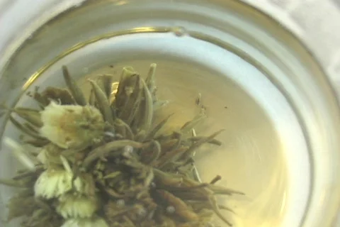 CHRYSANTHEMUM TEA Stock-Footage 125151