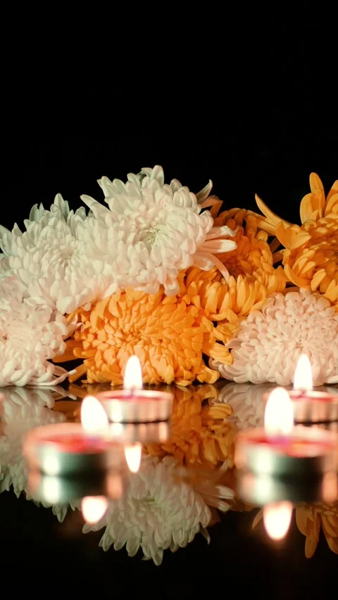 Chrysanthemums on a black background Vídeo Stock 346870391