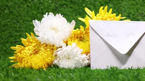Chrysanthemums on the grass Stock-Footage 346932377
