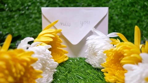 Chrysanthemums on the grass Video stock 346932426