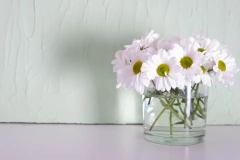 Chrysanthemums in a transparent vase on a table Stock Photos
