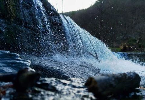 Chrysoprase dam in schwarza thuringia at spring Stock Photos