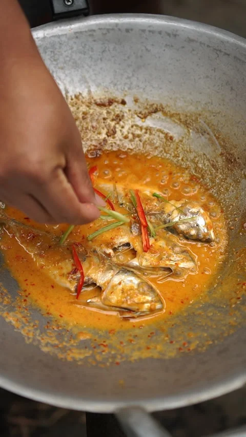 Chu Chee Pla Too Sod, Thai fresh mackerel in red curry sauce. Stock-Footage 337463684