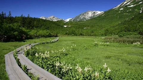 Chubu-Sangaku National Park, Nagano Prefecture, Japan Stock Footage