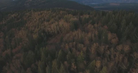 Chuckanut Mountain Fly Over - Aerial View - Bellingham Washington Stock Footage 88203352