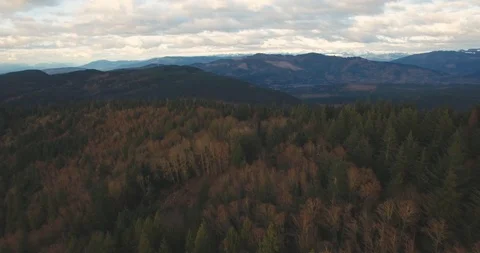 Chuckanut Mountain Fly Over - Aerial View - Bellingham Washington Stock Footage 88203385