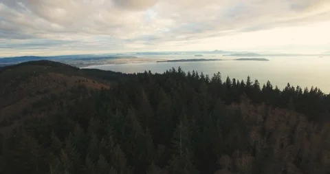 Chuckanut Mountain Fly Over - Aerial View - Bellingham Washington Stock Footage 88203431