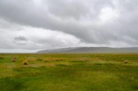 Chui steppe and summer clouds and view on Altai mountains, Altai Republic, Si Stock Photos