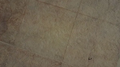 Chula Vista, CA - Aquatica San Diego Water Park - Drone Video Video stock 84835740