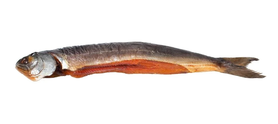 Chum salmon Stock Photos