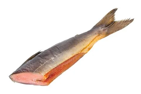Chum salmon Stock Photos